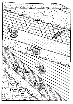 mc010-1.jpg