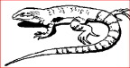 mc005-2.jpg
