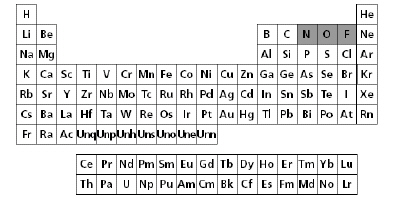 mc010-1.jpg